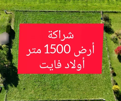 Vente Terrain Alger Ouled fayet