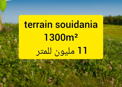 Vente Terrain Alger Souidania