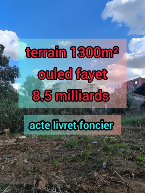 Vente Terrain Alger Ouled fayet
