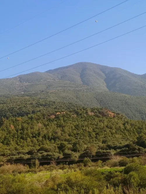 Cherche achat Villa Alger El harrach