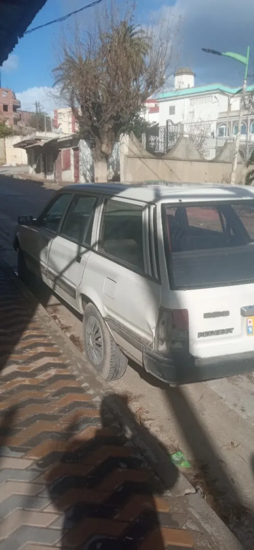 Peugeot 505 1990 505