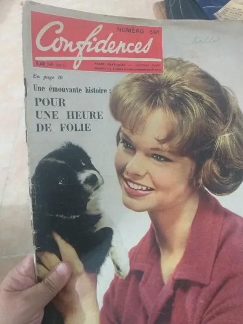 Des ancien roman magazine 1000da l'unité