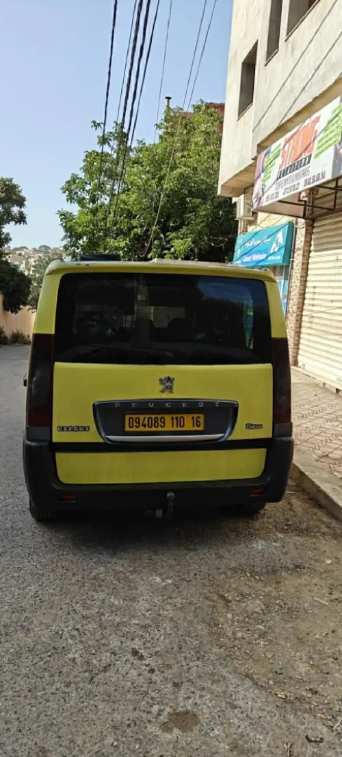 Peugeot Expert 2010 Expert