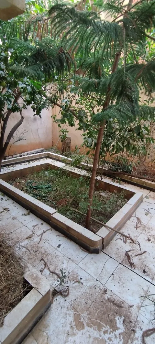 Vente Villa Alger Ouled fayet
