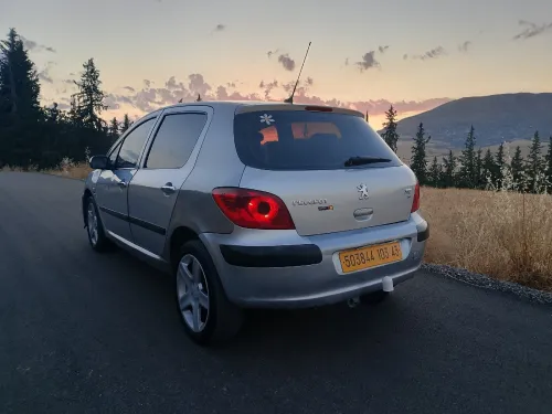 Peugeot 307 2003 XT