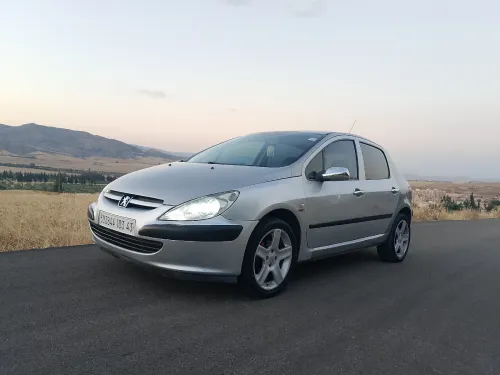 Peugeot 307 2003 XT