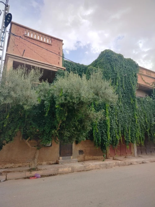 Location Villa El Bayadh El bayadh 20