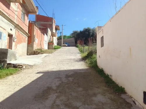 Vente Terrain Boumerdès Ouled moussa