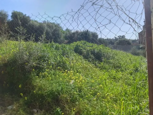 Vente Terrain Boumerdès Ouled moussa