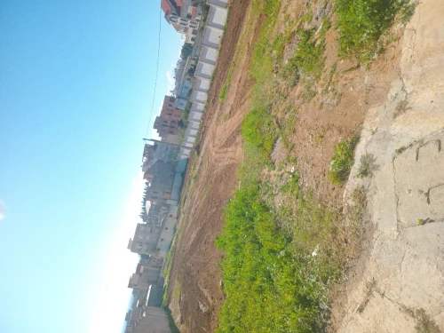 Vente Terrain Tipaza Kolea