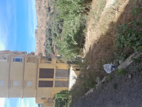 Vente Terrain Alger Cheraga