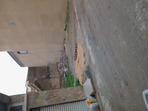 Vente Terrain Tipaza Kolea