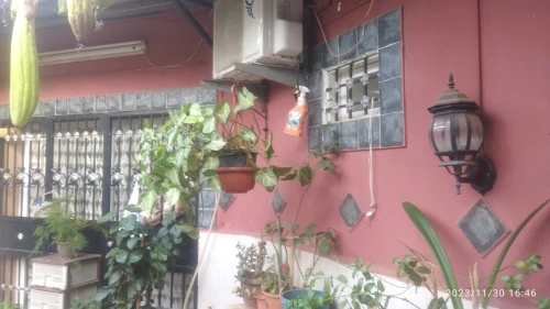 Vente Appartement F3 Tipaza Bou ismail