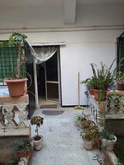 Vente Villa Guelma Guelma