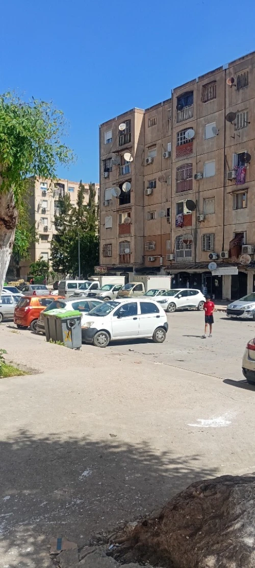 Vente Local Alger Les eucalyptus