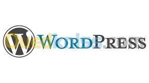 création site web WORDPRESS CMS