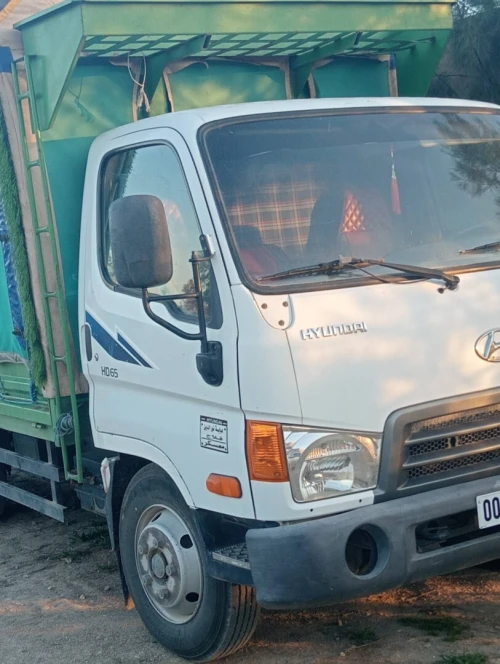 Hyundai Hd65 2009