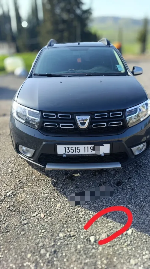 Dacia Sandero 2019 Stepway restylée