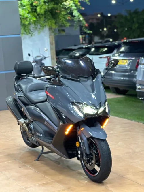 Yamaha Tax 560 2022