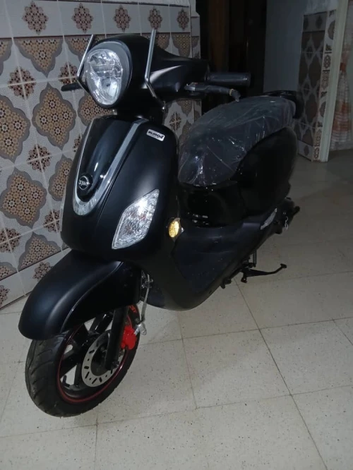 Sym Fiddle 3 2025