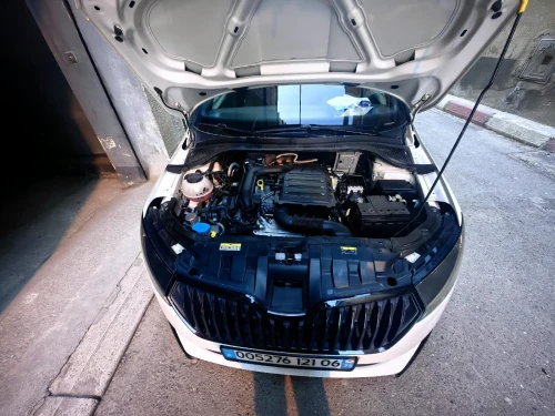 Skoda Fabia 2021 Monte Carlo