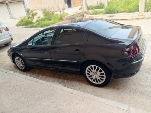 Peugeot 407 2007 407