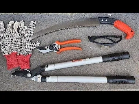 Tailleur d'arbres تقليم الأشجار