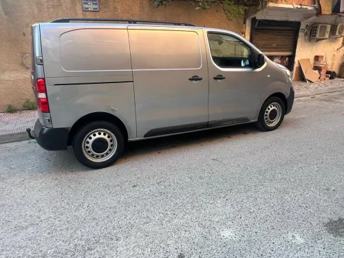 Fiat Scodo 2024 