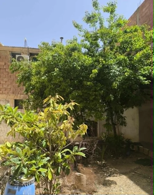 Vente Villa Djelfa Djelfa