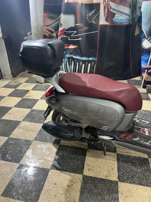 Sym Fiddle 3 2024