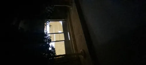 Location Local Ain defla El amra