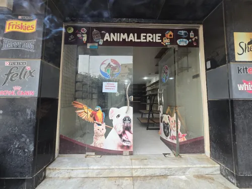 Vente Local Alger Cheraga