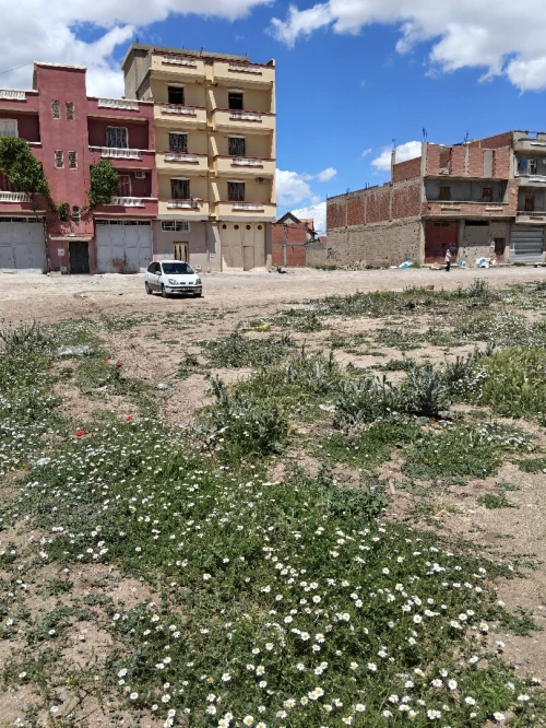Vente Terrain Sétif Setif