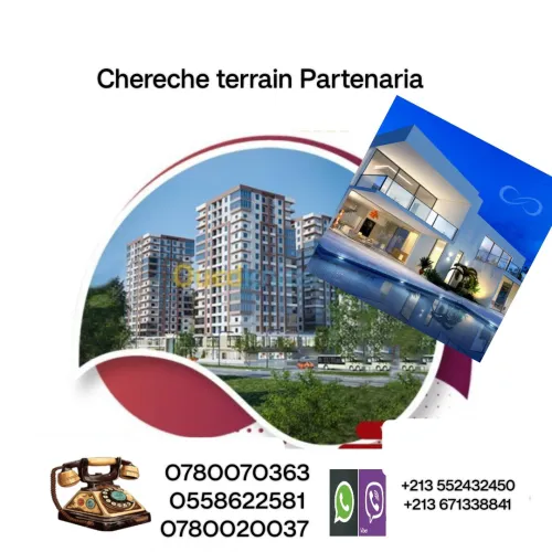 Cherche achat Terrain Blida Bouarfa
