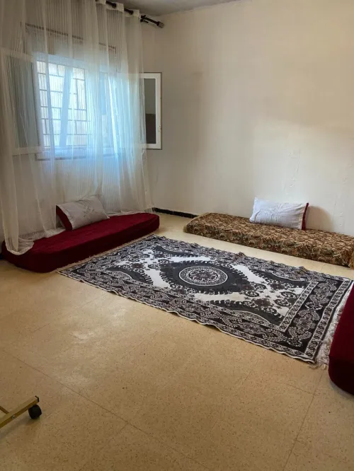 Location Appartement Studio Skikda Skikda