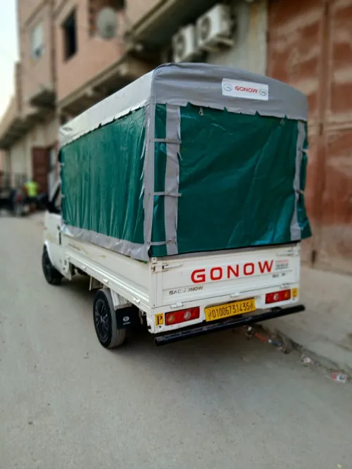 Gonow Gonow 2014 