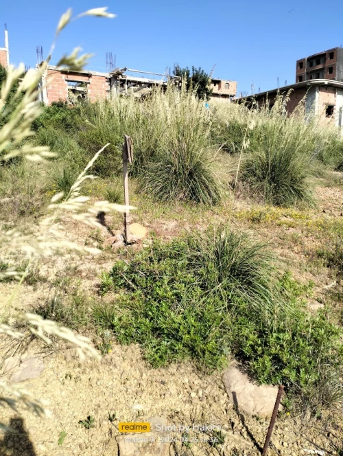 Vente Terrain Blida Meftah