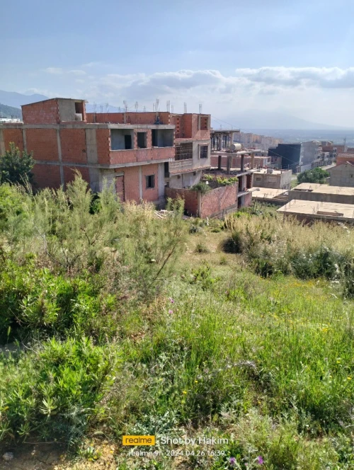 Vente Terrain Blida Meftah