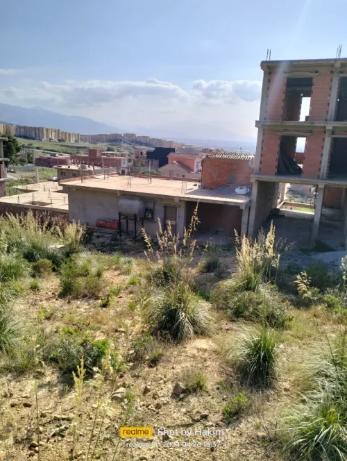 Vente Terrain Blida Meftah