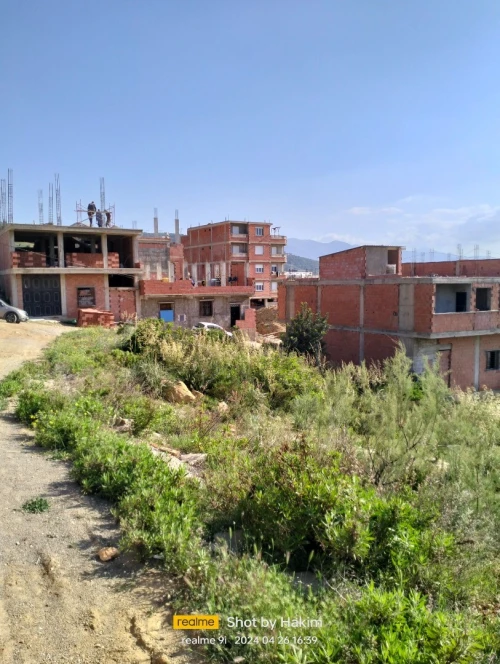 Vente Terrain Blida Meftah