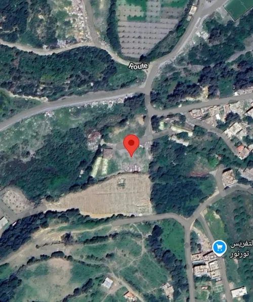 Vente Terrain Blida Bougara