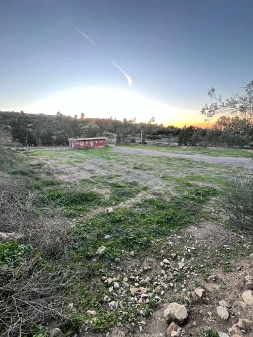 Vente Terrain Blida Bougara