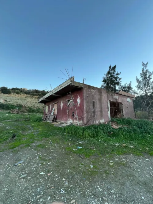 Vente Terrain Blida Bougara