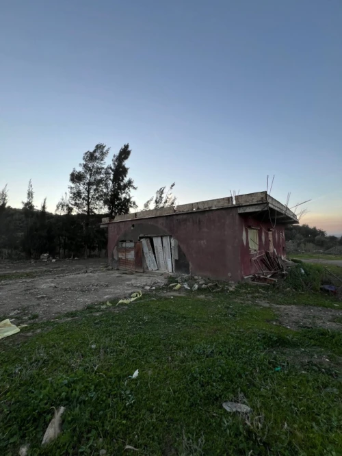 Vente Terrain Blida Bougara