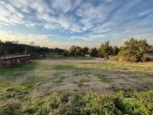 Vente Terrain Blida Bougara