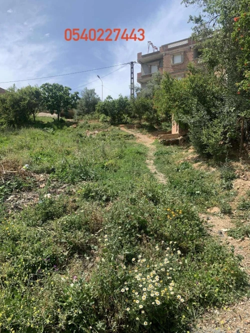 Vente Terrain Boumerdès El kharrouba