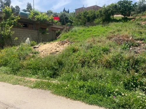 Vente Terrain Boumerdès El kharrouba