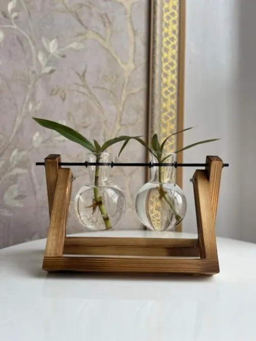 Vase pour plante Hydroponique très classe