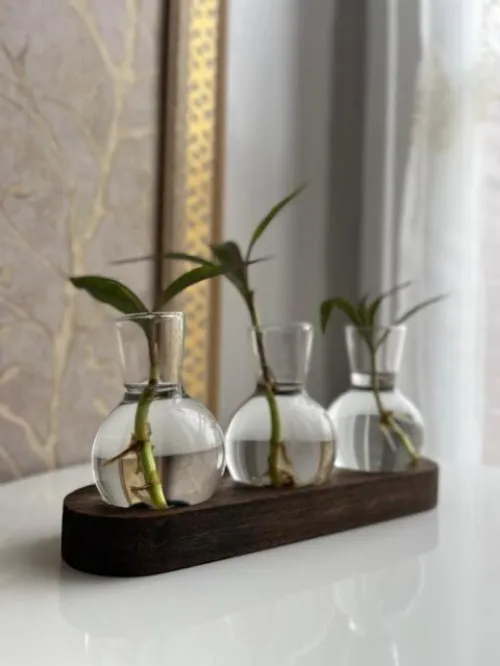 Vase pour plante Hydroponique très classe