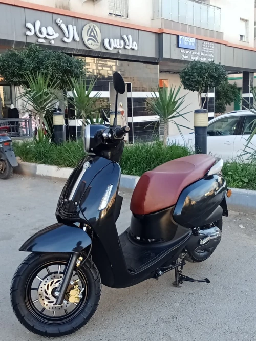 Panarea Vms 2024